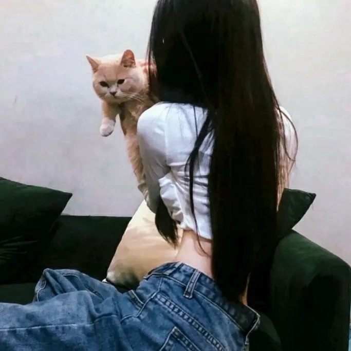 西科克斯七人组的归来